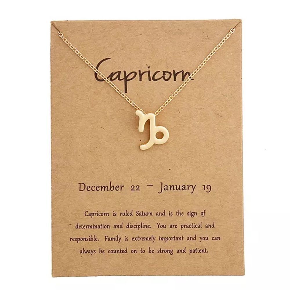 🆕Capricorn Zodiac Astrology Pendant Necklace